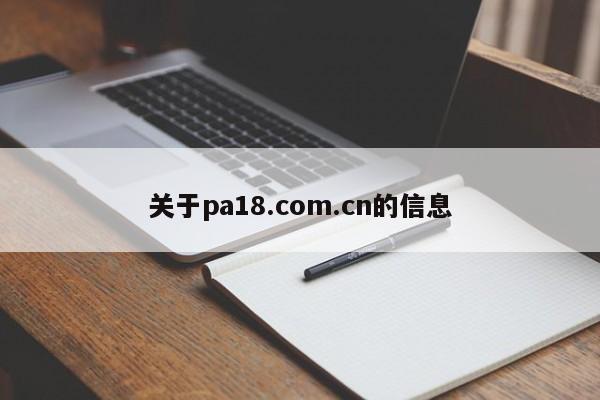 关于pa18.com.cn的信息
